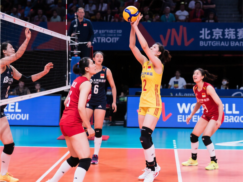 本文将深入 本文将深入